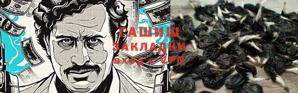 гашик Абдулино